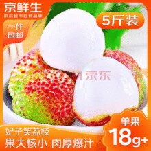 京鲜生 海南妃子笑新鲜荔枝 净重5斤 单果18g+￥40.90