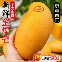 贝欧宝 软糖益生菌糖酸奶糖225g*2袋62.4元