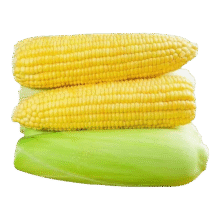plus会员:京鲜生云南水果玉米 净重5斤单果280g+ 甜玉米棒新鲜蔬菜应季 源头直发14.73元