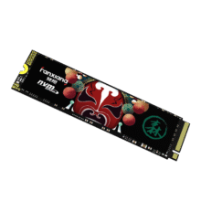 梵想（FANXIANG） SSD固态硬盘 M.2接口(NVMe协议)  S500系列 优质精选颗粒 S500pro 精选TLC颗粒 1T389元 (月销1000+)