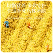 虎皮鹦鹉饲料鸟食玄凤谷子牡丹粮食文鸟带壳小米黄雀鸟粮 新鲜农家小米100克0.1元