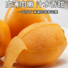 国家地理标志产品！京觅 四川米易大五星枇杷 2斤装（单果30g-40g）￥19.65