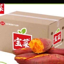 plus会员:佳农宝菜兰考蜜薯香甜可口单果约100g+地瓜净重4.5斤装番薯源头直发12.84元