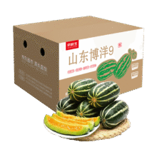 京鲜生 山东头茬博洋9号甜瓜 单果250g起 净重3斤 端午水果 源头直发12.75元