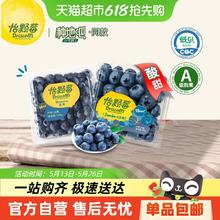 Driscoll's 怡颗莓 云南蓝莓 125g*6盒29.9元