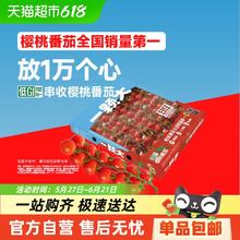 88VIP会员：一颗大 串收樱桃番茄甄选礼盒新鲜采摘酸甜多汁1kg 红串1kg*1盒券后18.05元