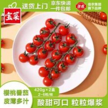 佳农 宝菜 山东串收樱桃小番茄 净重420g*2盒16.68元包邮