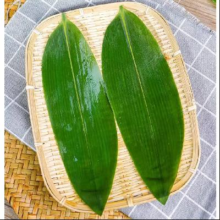 京喜自营 新鲜棕叶200片 中号7-9cm 送线团1.9元包邮(需用券)