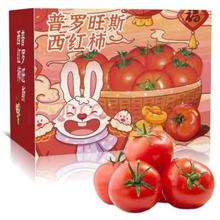 古寨山 普罗旺斯西红柿 新鲜现摘蔬菜 2.25斤8.9元（需买2件，需用券）