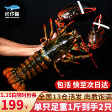 渔传播 波士顿龙虾 2只 1kg 礼盒装券后175.11元