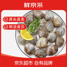 鲜京采 鲜活大美贝 5斤 每斤15-20粒14.7元