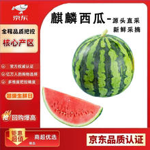 闽农语果 麒麟西瓜新鲜水果麒麟大西瓜 净重7-8斤 5斤净重4.5斤券后11.99元