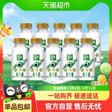伊利 金典235mlx10巴氏杀菌生牛乳全脂高钙早餐鲜牛奶33.06元