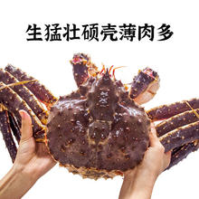 渔传播 包活到家俄罗斯帝王蟹顺丰次日达417.06元