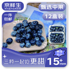 限移动端、京东百亿补贴：京鲜生 云南蓝莓 15mm+装 125g/盒12盒67.84元