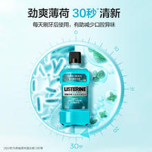 李施德林 漱口水冰蓝劲爽口味清新口气深层清洁 500mL（加赠共10支）13.66元