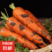 京喜加新鲜现挖现发胡萝卜农家自种蔬菜水果沙地红萝卜 带泥胡萝卜2斤 含箱2.99元（需领券）