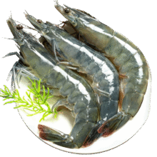虾有虾途虾有虾途青岛大虾无冰新鲜海虾79元
