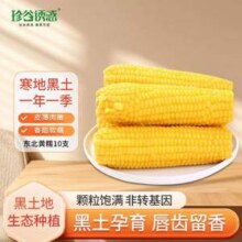 珍谷诱惑 非转基因 东北黄糯玉米 10支×200g17.99元包邮