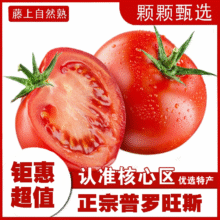 疆域采虹正宗普罗旺斯西红柿现摘新鲜沙瓤水果生吃西红柿沙漠特产自然熟 精选一级9-12个装 单果50g+9.8元（需领券）