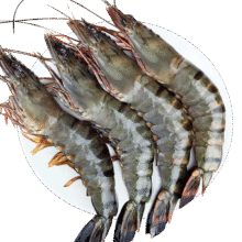 88VIP：北海湾 特大黑虎虾Q弹单只冻 3.6斤虾600g*3盒71元（171+返卡100元）