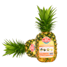 佳农 菲律宾进口菠萝 2个装 单果净重2斤 新鲜水果端午节送礼 包邮55.14元（需领券，合27.57元/件）