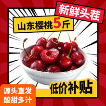 鲁禧 山东大樱桃 国产车厘子 带箱5斤券后49.9元