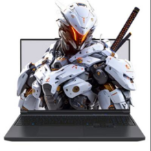 16号20点：机械革命 极光X Pro 16英寸 游戏本(i7-14650HX 32G 1T RTX5070Ti 2.5K屏 300Hz 黑)8446.51元（需领券）