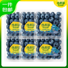 Driscoll's 怡颗莓 云南蓝莓经典超大果18mm+6盒装 新鲜水果券后78.9元