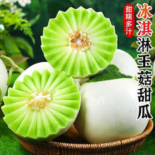鲁韵忆乡 山东玉菇甜瓜 净重4.5斤