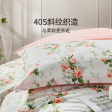 富安娜 纯棉枕套 全棉印花清新枕头套 学生家用枕芯套一对 74*48CM29元（需领券）