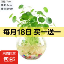 京喜【铜钱草】水培绿植物办公室桌面水养金钱草室内四季常青花卉盆栽 1套铜钱草+圆球玻璃盆8.99元包邮（买一送，折4.5元/件）
