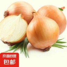 再降价：京喜自营 新鲜黄洋葱 500g *2件合0.99元/件，1.99元包邮(买一送一)