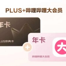 PLUS+哔哩哔哩大会员联名年卡148元