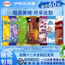 伊利冰淇淋家庭超值组合大布丁苦咖啡冰工厂组合装60支 60支（3905g）￥61.90