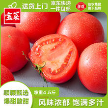 佳农 宝菜 山东普罗旺斯番茄 风味浓郁西红柿 净重4.5斤 源头直发券后18.86元