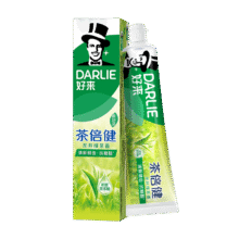 DARLIE好来(原黑人)茶倍健牙膏 龙井绿茶 120g*2件12.79元(合6.39元/件）