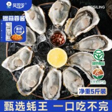 绿色认证！贝司令 乳山牡蛎鲜活生蚝王 净重5斤（7两/只）送开蚝3件套+蒜蓉酱￥56.80 1.9折