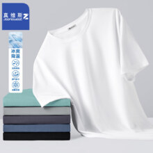 真维斯（JEANSWEST Z+）速干男t恤 5种颜色尺码可选39.36元（需领券，合13.12元/件）