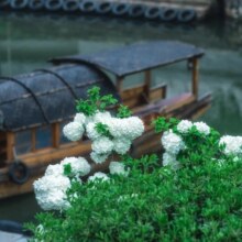 浙江嘉兴濮院时尚周限定2天1晚住宿套餐 精品客栈699元起/晚（还有套餐可选）