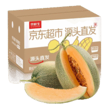 京鲜生 西州蜜哈密瓜 2粒 单果2.3斤起 净重5斤 端午源头直发 包邮18元