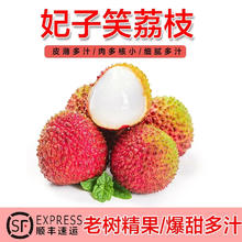 酷果汇 妃子笑荔枝 单果16g起 净重4.5斤券后48.9元