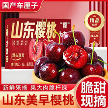 樱鲜 国产大樱桃 2000g 精选装 单果8-10g券后29.4元