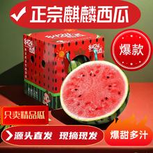 春福乐 正宗麒麟西瓜脆甜多汁新鲜水果整箱 6-7斤一个瓜+多层防护券后17.8元