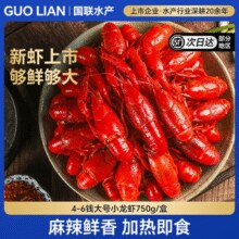 2025年大号新虾！国联水产 小霸龙 麻辣小龙虾750g+小龙虾尾2袋1750g￥79.90 1.1折