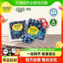Driscoll's 怡颗莓 云南蓝莓 1盒 中果14-18mm29.9元