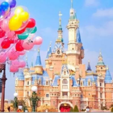 美团 【1成人】上海迪士尼早鸟门票+酒店一晚+早餐+交通393元
