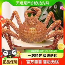渔传播 帝王蟹一只净重3.5斤-3.5斤鲜活到家牺牲包赔599.35元