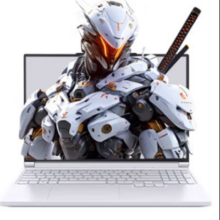 16号20点：机械革命 极光X Pro 16英寸游戏本(i9-14900HX 32G 1T RTX5070Ti 2.5K屏 300Hz 白)9143.01元（需领券）