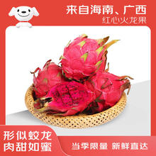 京鲜生 红心火龙果 1.8kg 6粒装 单果300g29.52元（双重优惠）